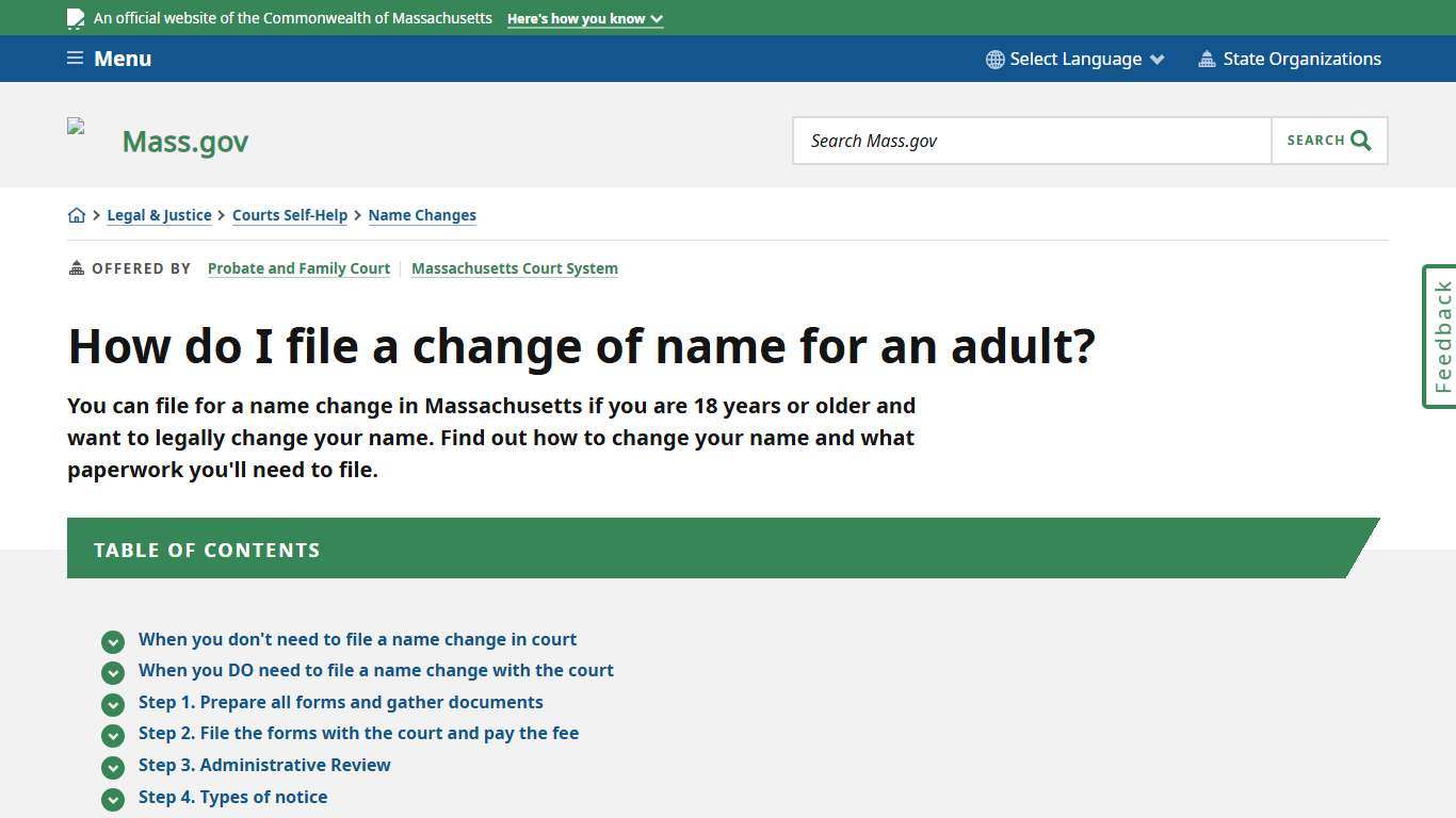 How do I file a change of name for an adult? Mass.gov